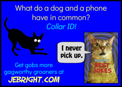 Bernie's Best Jokes by J. E. Bright meme: dog and phone