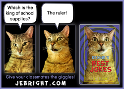 Bernie's Best Jokes by J. E. Bright meme: king ruler