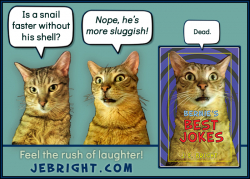 Bernie's Best Jokes by J. E. Bright meme: snail sluggish