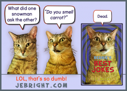 Bernie's Best Jokes by J. E. Bright meme: snowman carrot smell