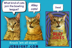 Bernie's Best Jokes by J. E. Bright meme: bowling