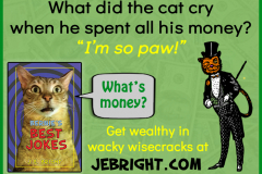 Bernie's Best Jokes by J. E. Bright meme: cat money paw