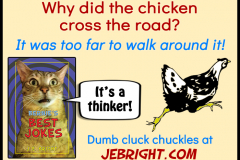 Bernie's Best Jokes by J. E. Bright meme: chicken cross the road