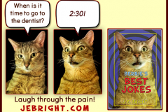 Bernie's Best Jokes by J. E. Bright meme: dentist 2:30