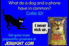 Bernie's Best Jokes by J. E. Bright meme: dog and phone