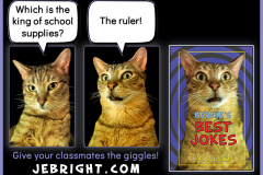 Bernie's Best Jokes by J. E. Bright meme: king ruler