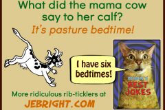 Bernie's Best Jokes by J. E. Bright meme: mama cow pasture