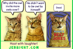 Bernie's Best Jokes by J. E. Bright meme: owl by myself
