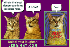 Bernie's Best Jokes by J. E. Bright meme: robber safe