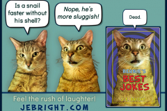 Bernie's Best Jokes by J. E. Bright meme: snail sluggish