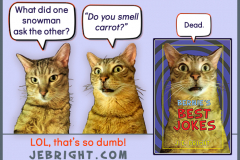 Bernie's Best Jokes by J. E. Bright meme: snowman carrot smell