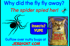 Bernie's Best Jokes by J. E. Bright meme: spider and fly